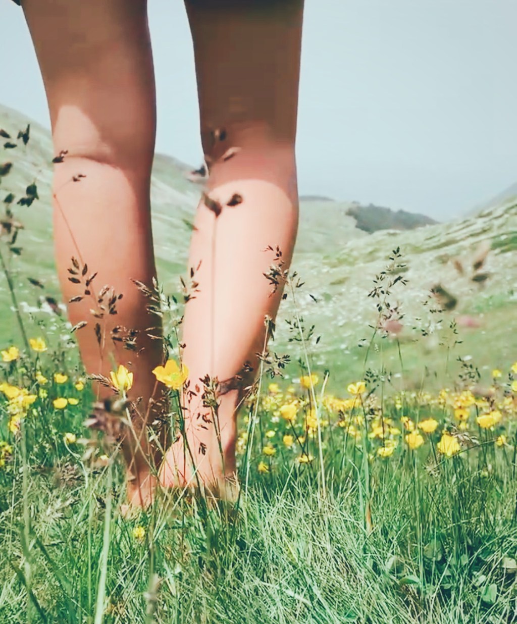 Scopriamo insieme la Meditazione&nbsp;Camminata