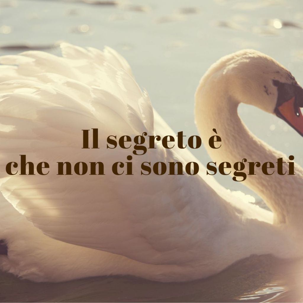 Il segreto è che non ci sono segreti