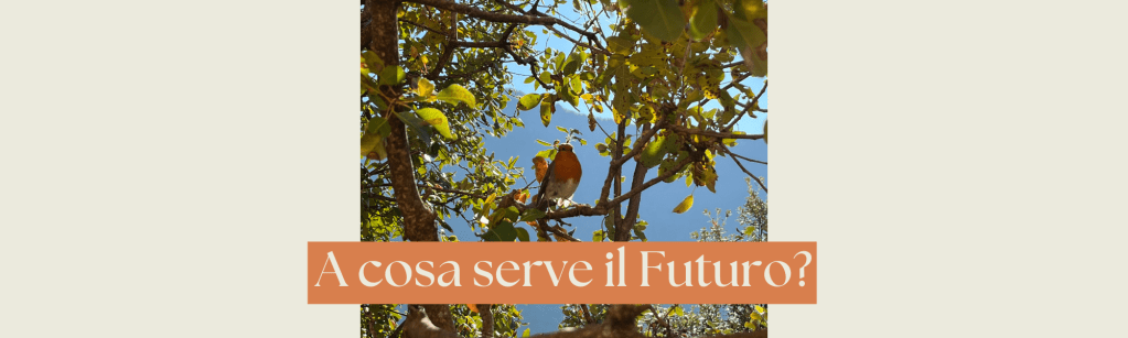 A cosa serve il futuro?