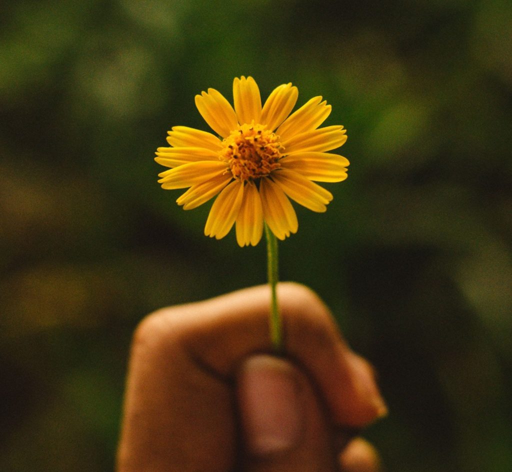 mindfulness psicologia crescita personale